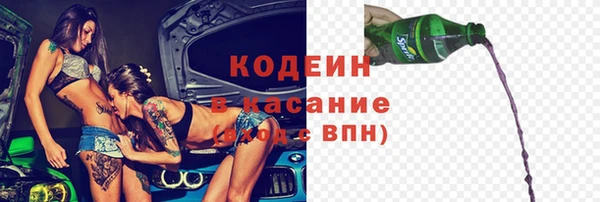 дурь Алексин