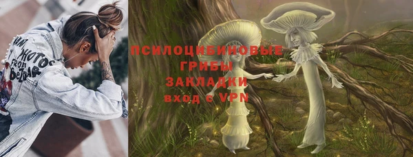 дурь Алексин