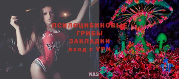 соль курить ск Алзамай